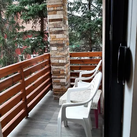 Krivokapic Zlatibor